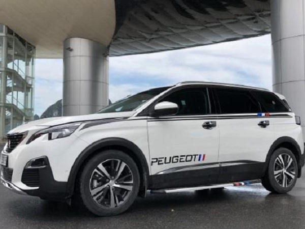 Tem thân xe Peugeot 3008