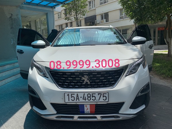 Rèm che nắng kính lái Peugeot