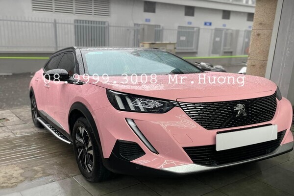 chổi gạt mưa xe peugeot silicon Denso cao cấp Japan