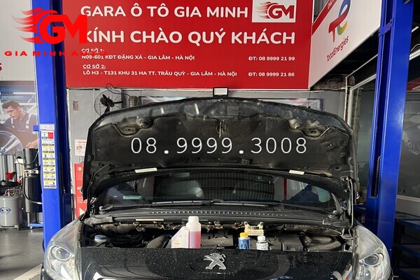 Dầu trợ lực lái Peugeot chính hãng 