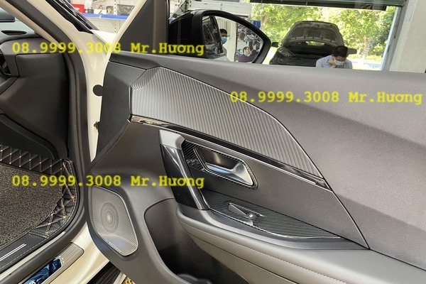 Combo ốp hõm cửa và công tắc lên xuống kính carbon 2008