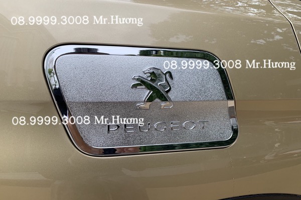 combo ốp hõm cửa chống xước và ốp nắp xăng crom 5008